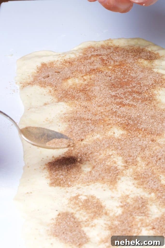Cinnamon sugar being sprinkled on dough.