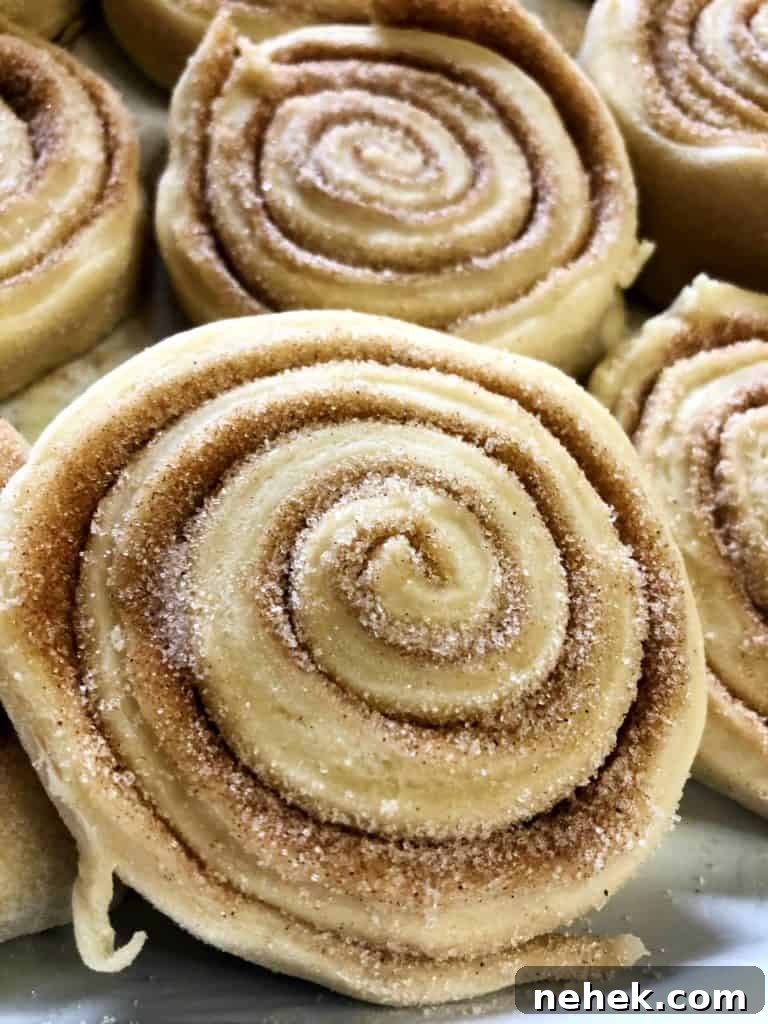 Uncooked and cut cinnamon roll swirls.