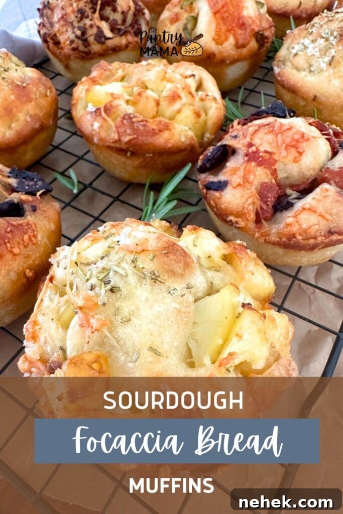 Sourdough Focaccia Muffins for Sharing: Crispy, Airy Bites 13 frozen storage