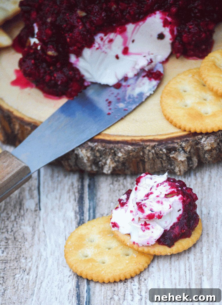 Tangy Cranberry Salsa Recipe for Holidays and Entertaining 2 cranberry relish over a ball of cream cheese spread on a round buttery cracker