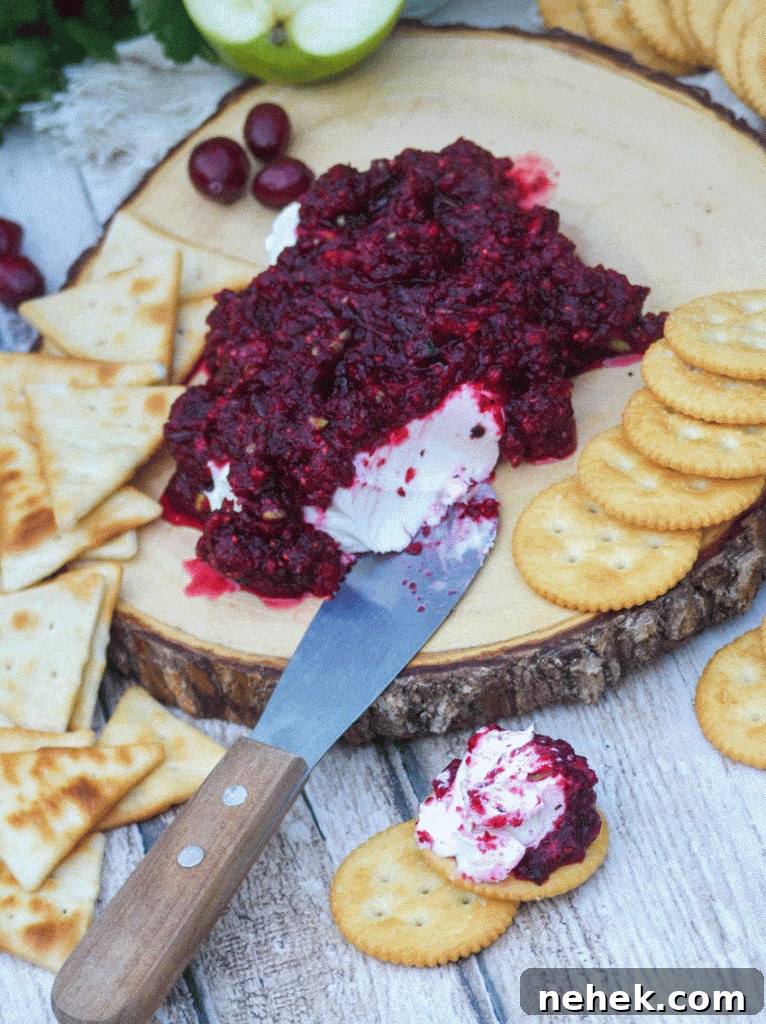 Tangy Cranberry Salsa Recipe for Holidays and Entertaining 6 cranberry relish over a ball of cream cheese spread on a round buttery cracker
