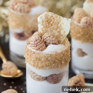This easy white chocolate raspberry dessert mousse is the perfect gold dessert for New Year’s Eve!