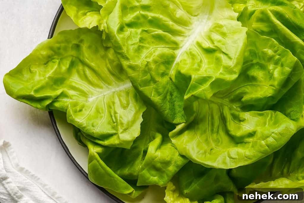 Teriyaki Chicken Lettuce Wraps Recipe for Quick Weeknight Meals 5 Butterhead Lettuce on Plate