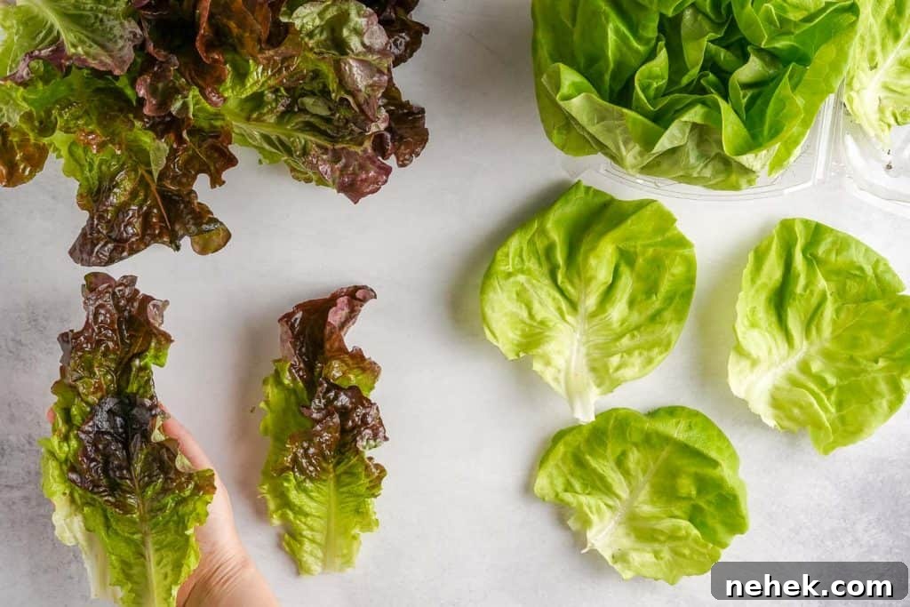 Teriyaki Chicken Lettuce Wraps Recipe for Quick Weeknight Meals 6 Types of Lettuce for Lettuce Wraps - Red Leaf and Butterhead