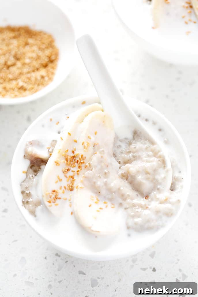 tapioca pudding