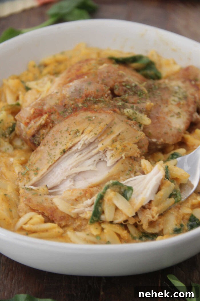 Close up photo of a bowl of pasta with pumpkin puree, spinach, and chicken thighs on top