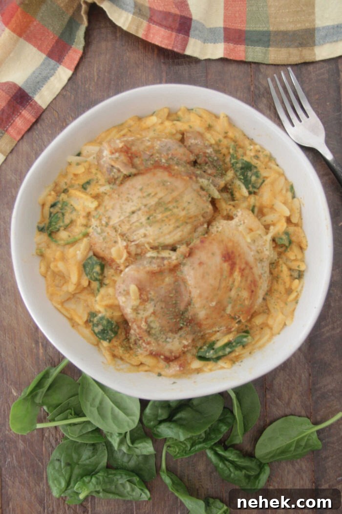 Overhead photo of a bowl of orzo pasta in a creamy pumpkin sauce with spinach and two crispy chicken thighs on top
