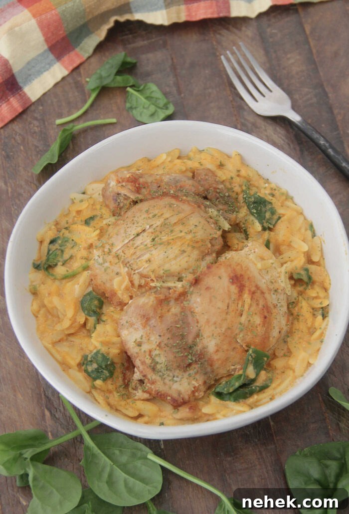 Angled photo of orzo pasta tossed a pumpkin sauce with crispy chicken thighs on top