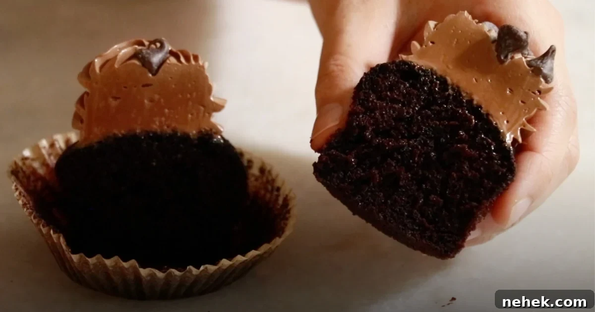 Classic Moist Chocolate Cake Recipe for Crowning Any Occasion 3 a cut look of chocolate cupcake