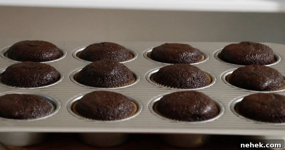Classic Moist Chocolate Cake Recipe for Crowning Any Occasion 4 regular chocolate cupcakes just taken out from an oven