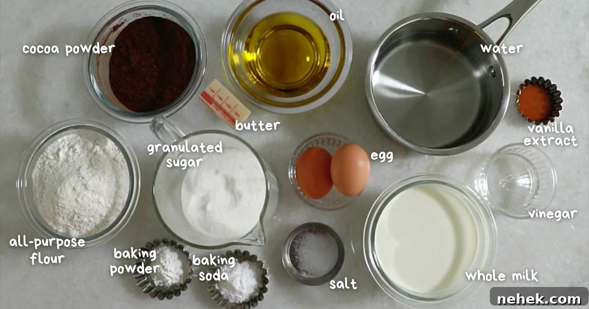 Classic Moist Chocolate Cake Recipe for Crowning Any Occasion 6 ingredients to make best chocolate cake