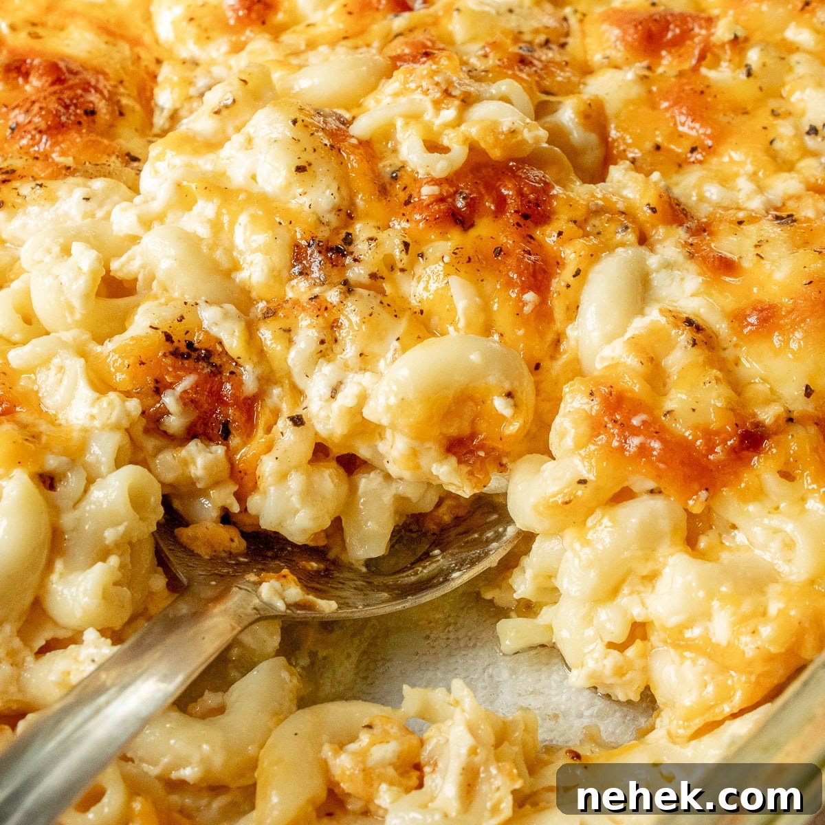 mac and cheese with a big spoon in it. 