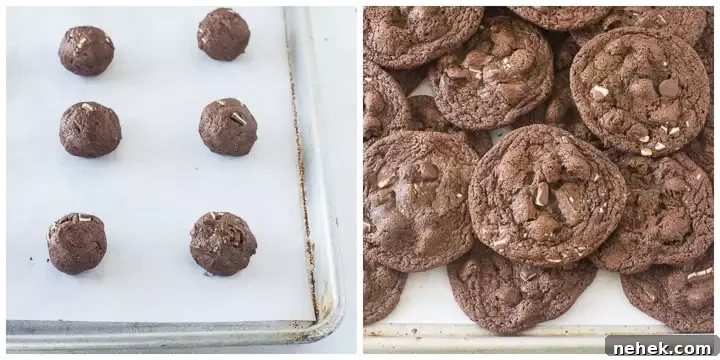 Chocolate Mint Cookies with Fudgy Chocolate Chips 5 how to make chocolate mint cookies steps 7 and 8