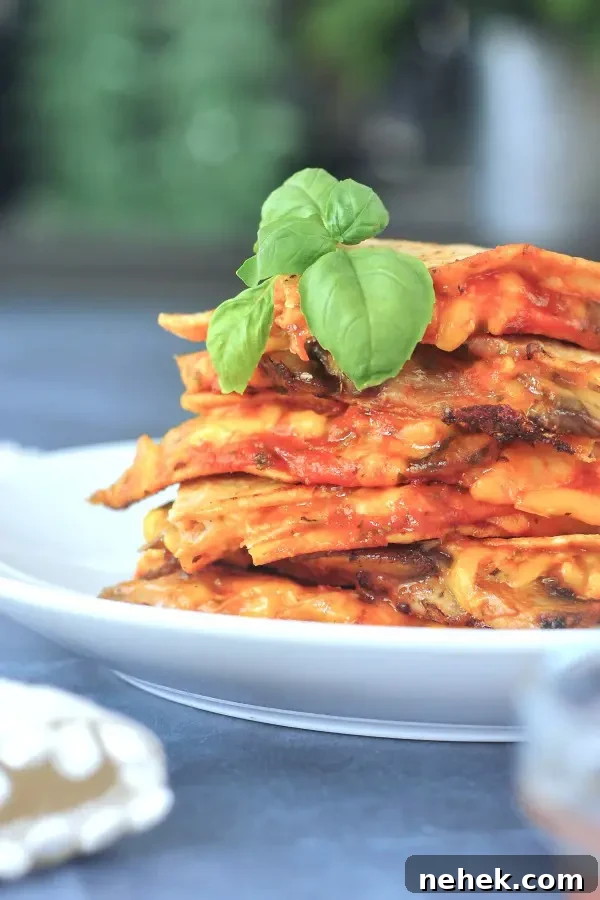 Pizza Quesadilla