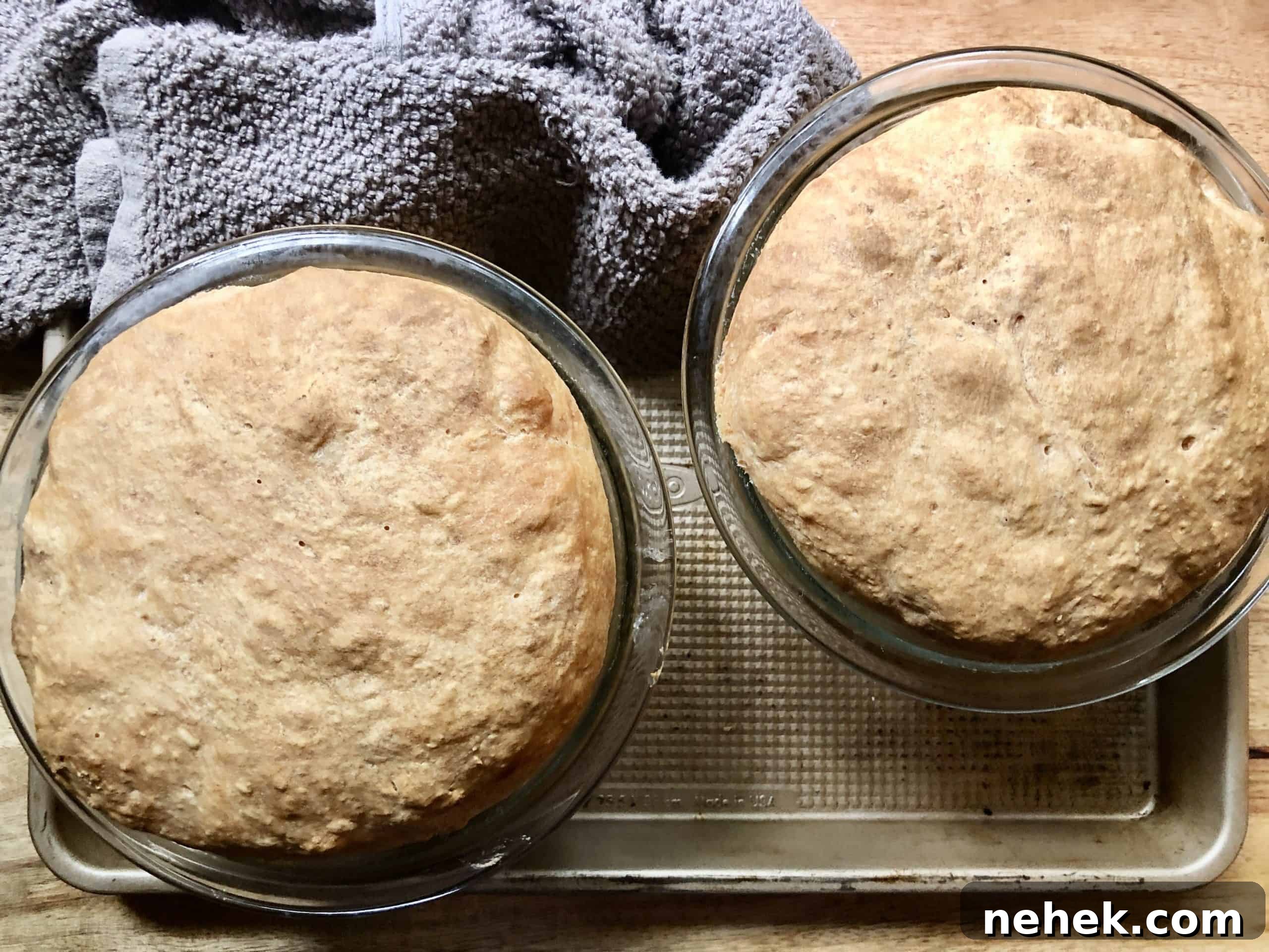 everyday no-knead peasant bread