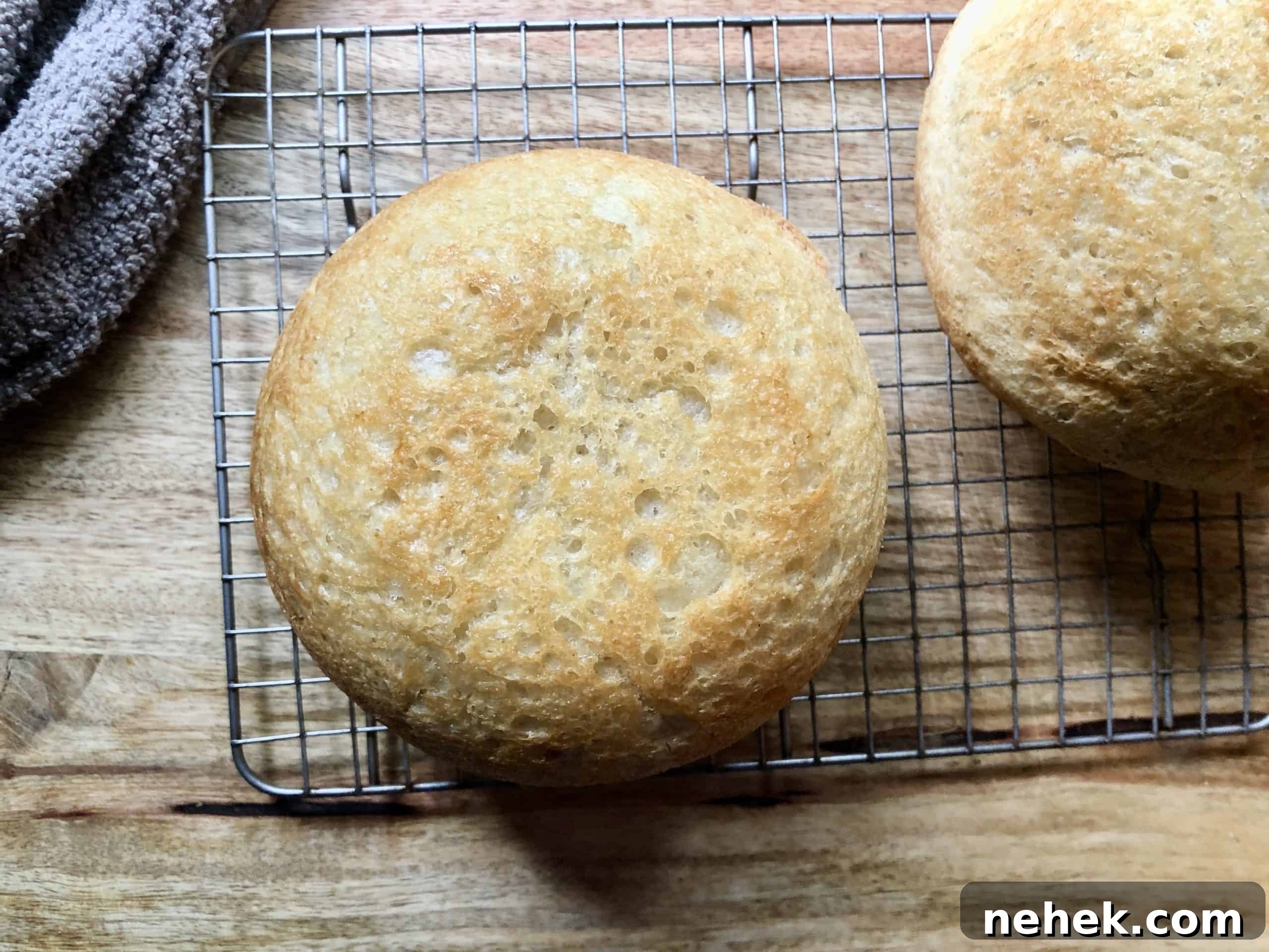 everyday no-knead peasant bread