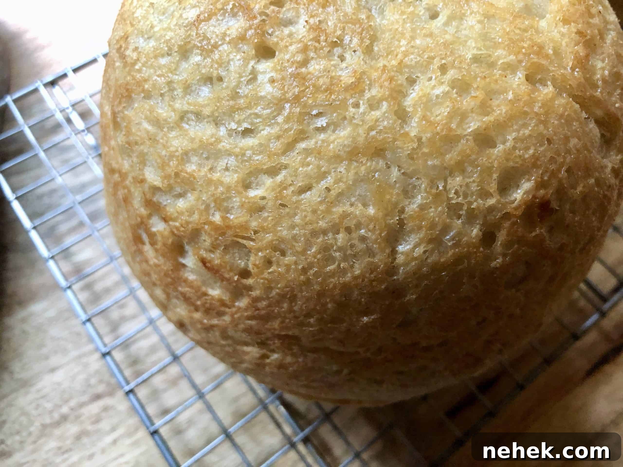 everyday no-knead peasant bread