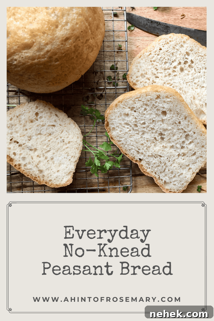 Everyday No-Knead Peasant Bread
