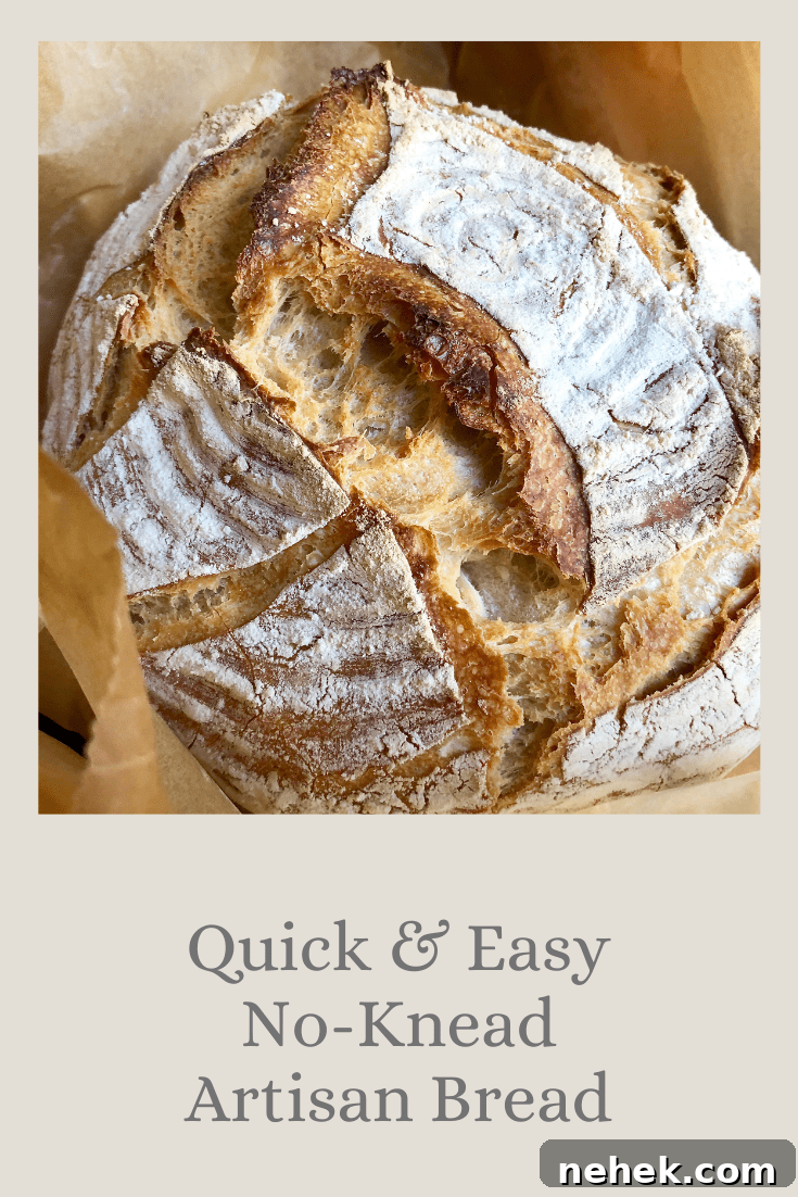 quick & easy no-knead artisan bread