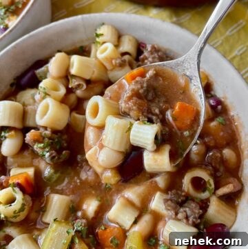Pasta Fagioli on spoon.