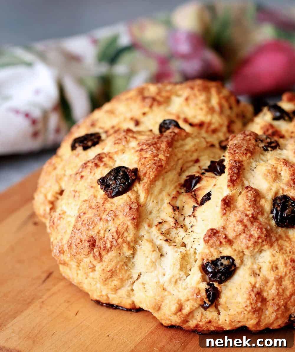 Loaf of Irish Soda Bread with Dried Cherries, on a cutting board.