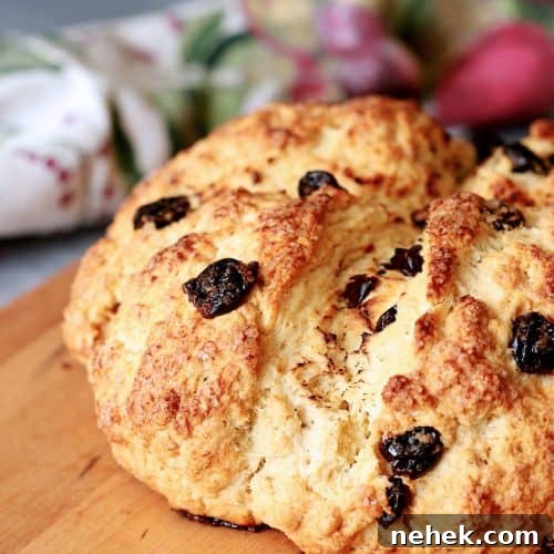 Loaf of Irish Soda Bread with Dried Cherries, on a cutting board.