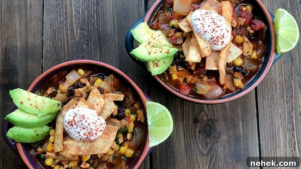 15 Comforting Fall Soups and Hearty Stews for Chilly Nights 4 two bowls of chunky chicken tortilla soup