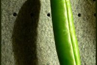 Foodography 4 Green: Creative Plant-Based Food Photography Tips