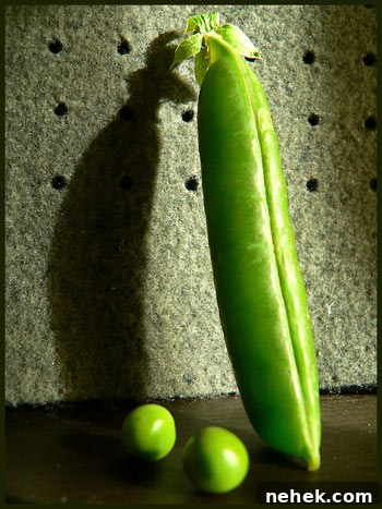 Foodography 4 Green: Creative Plant-Based Food Photography Tips 2 img 374 1