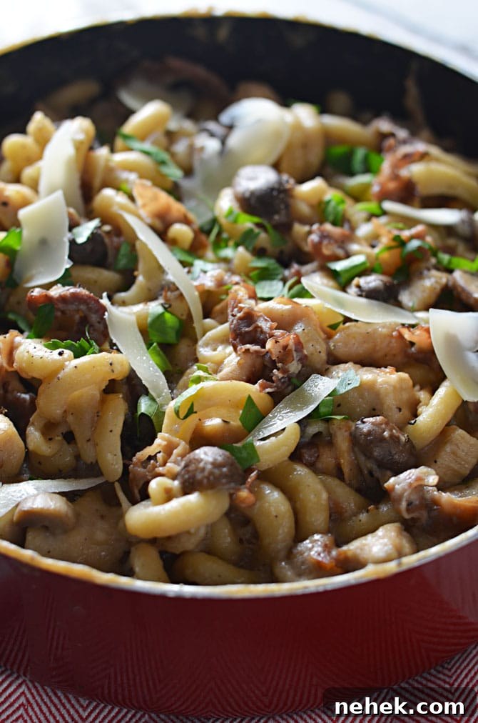 Creamy One-Pot Chicken Marsala Pasta Recipe 4 One Pot Creamy Chicken Marsala Pasta. You cook the noodles, sauce, and chicken all together to make an extra-flavorful dish. Not to mention, clean up is a breeze when there's only one pot to be washed!! You're going to love this easy and impressive recipe. | hostthetoast.com