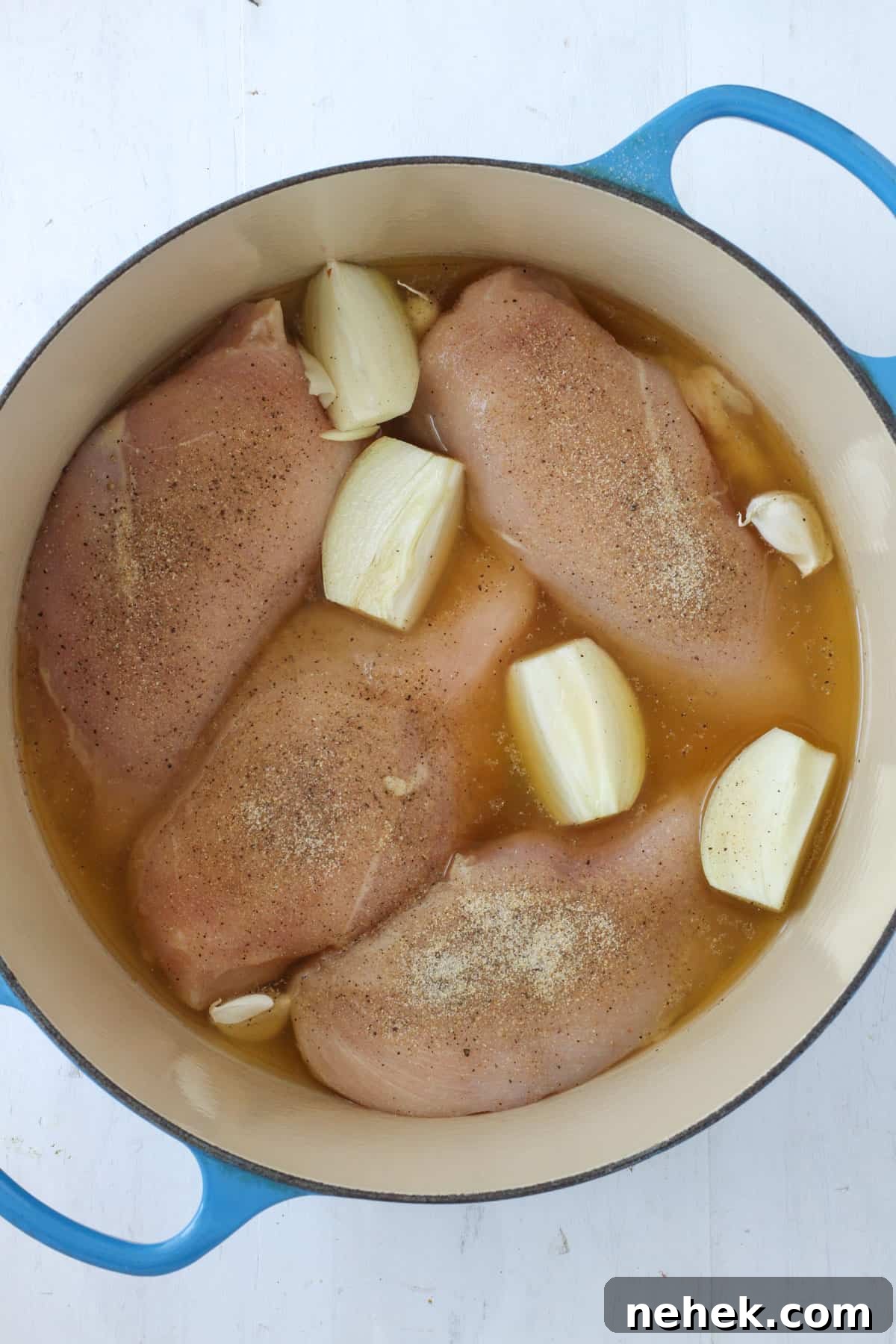 Chicken breasts, onions and garlic covered with chicken broth in a Dutch oven.