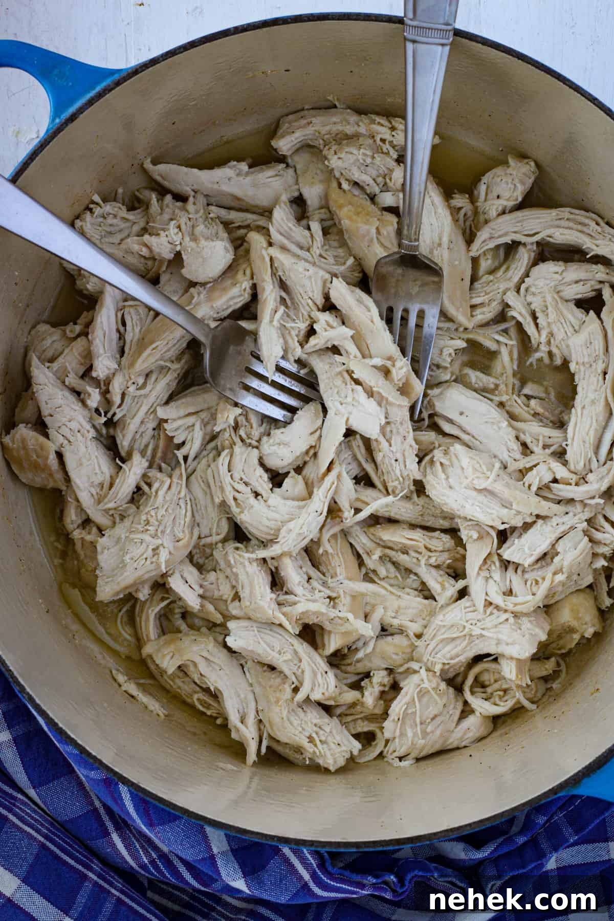 Pulled chicken in a Dutch oven with two forks pulling apart chicken.