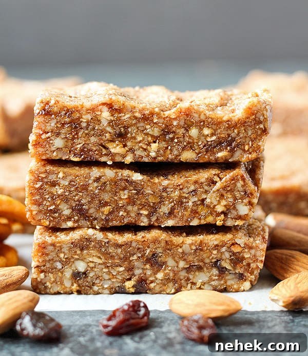 Paleo Apple Cinnamon Protein Bars — RXBAR Copycat Recipe 6 Paleo Apple Cinnamon Protein Bars