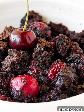 Close up of chocolate cherry dump cake serving in a white bowl.