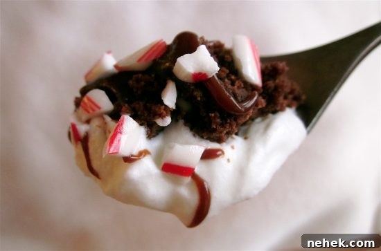 Chocolate Trifle Recipe for Christmas