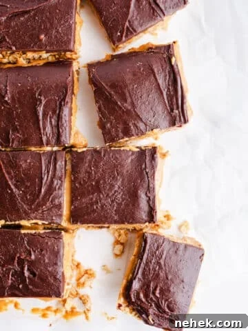 Chocolate frosted peanut butter bars.