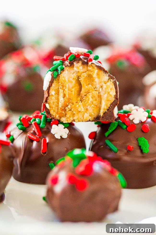 Chocolate peanut butter balls with a bite missing from one.
