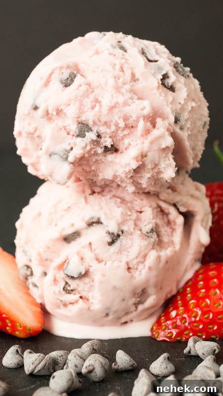 Two scoops of pink Strawberry Chocolate Chip Gelato are stacked on top of one another on a black background.
