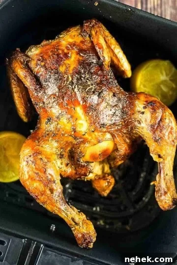 Golden-brown whole chicken with crispy skin in an air fryer basket, garnished with lemon wedges and fresh herbs.