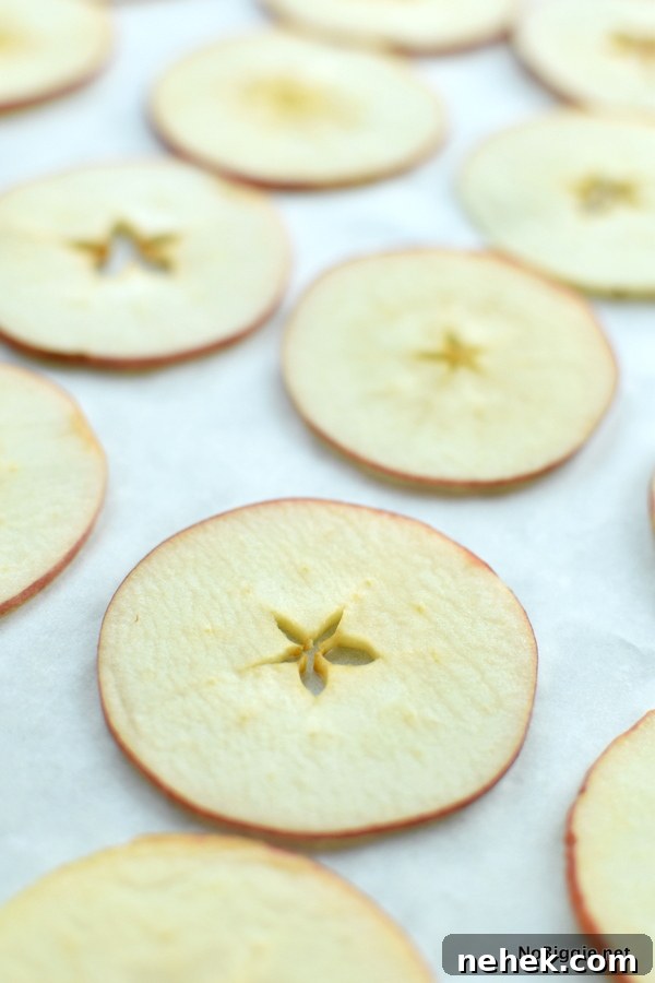 Baked Cinnamon Apple Chips sliced extra thin