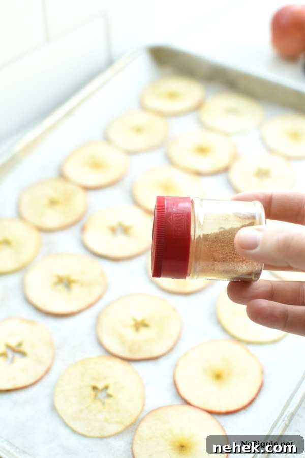 Baked Cinnamon Apple Chips thinly sliced