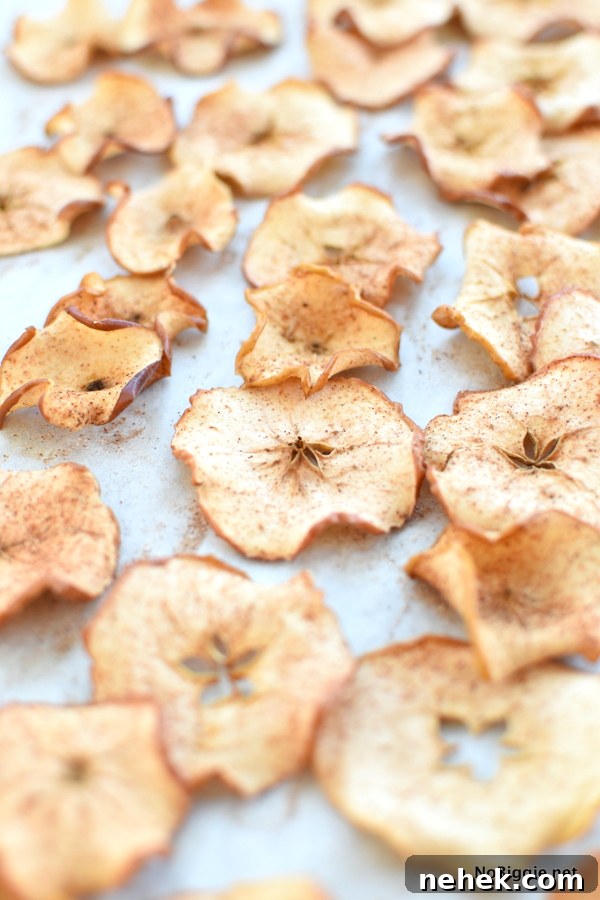 Baked Sugar Cinnamon Apple Chips