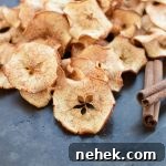 Baked Apple Chips | NoBiggie.net