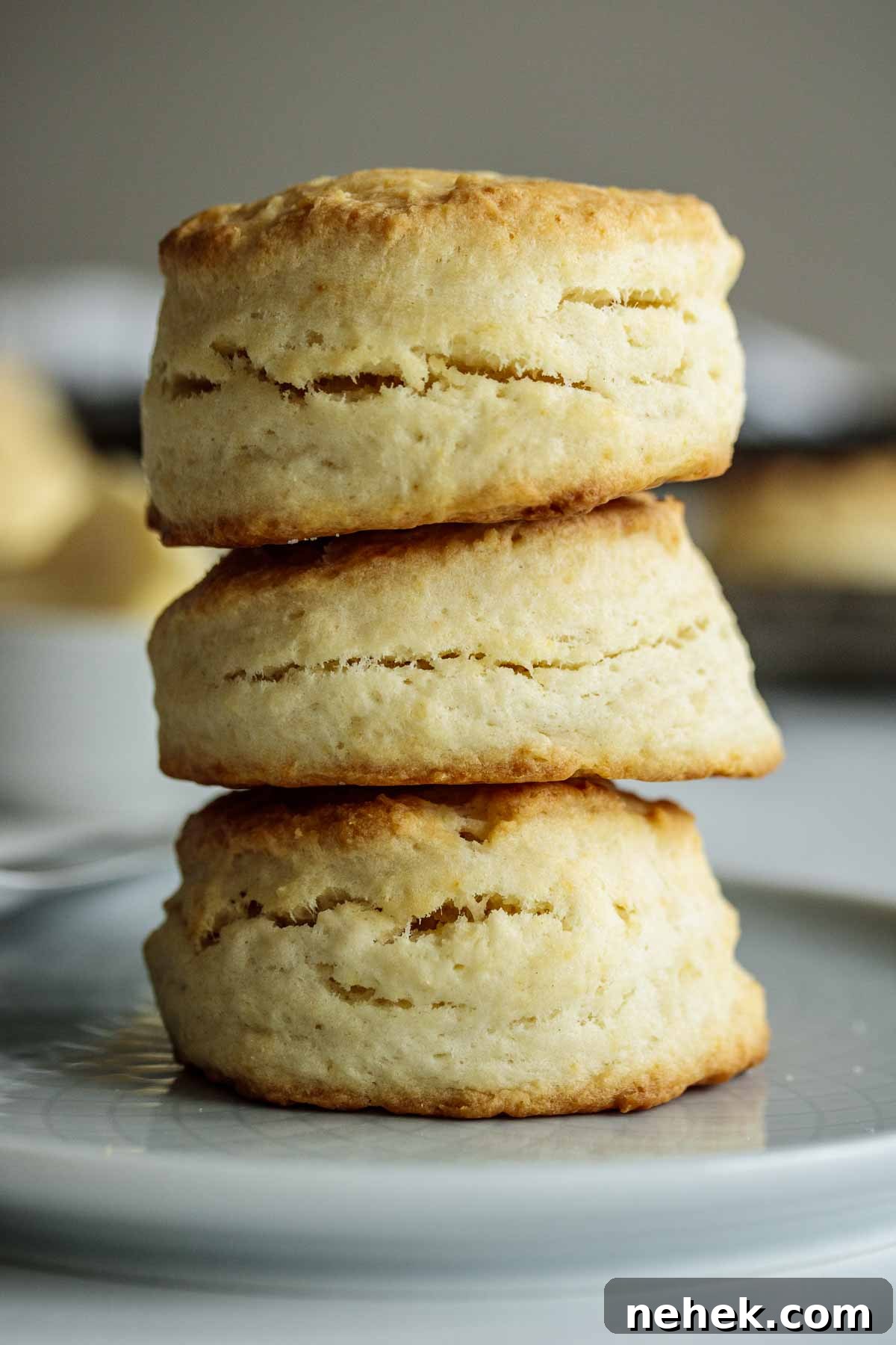 A stack of golden tea cream biscuits.