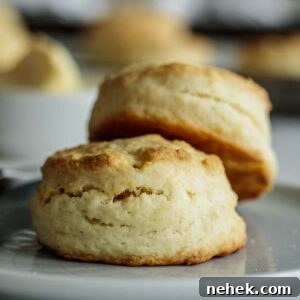Two biscuits on a plate.