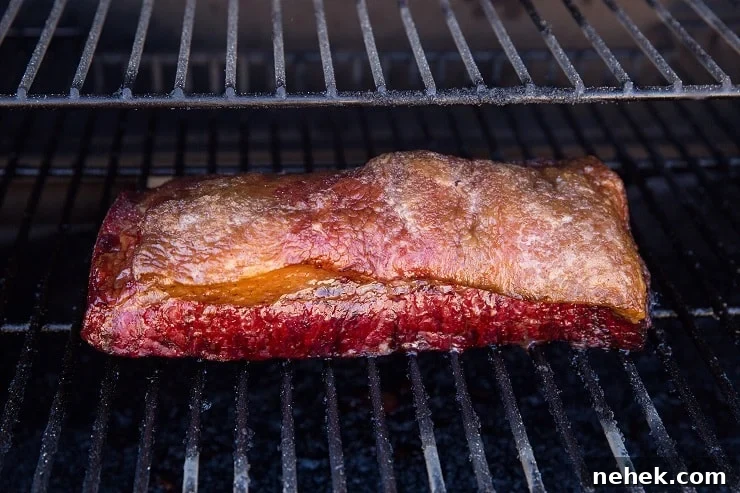 Nitrate-Free Paleo Pastrami: Homemade Recipe and Tips 11 Smoked brisket - brisket on a smoker