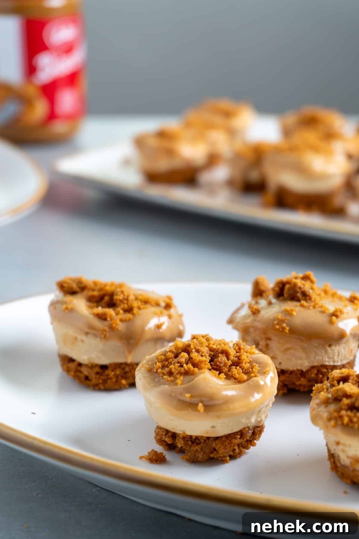 Mini biscoff cheese cakes on a small plate.