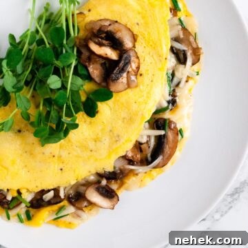 a top down view of a mushroom omelette topped with micro greens.