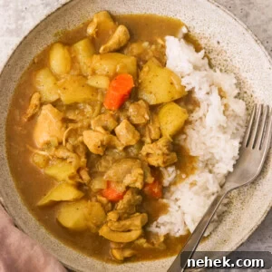 an overhead shot of japanese curry in a white bowl with rice