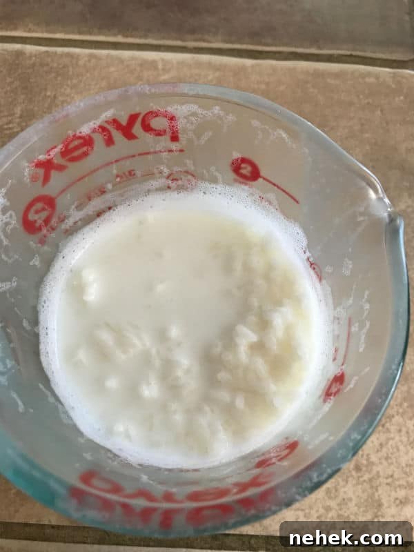 A cup with Rice pudding